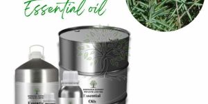 Juniper Leaves Essential Oil