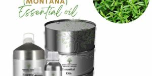 Savory Winter Essential Oil