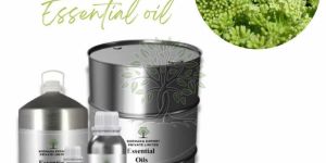 Sea Fennel Essential Oil