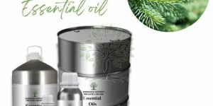 Silver Fir Essential Oil