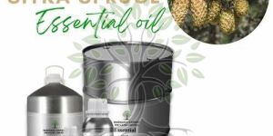 Sitka Spruce Essential Oil