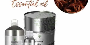 Star Anise Essential Oil