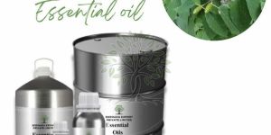 Sweet Birch Essential Oil