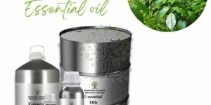 Tolu Balsam Essential Oil