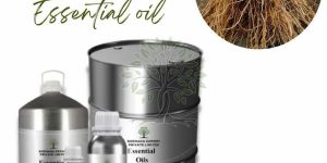 Vetiver Essential Oil