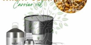 Wheat Germ Carrier Oil