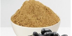 Jamun Seed Powder