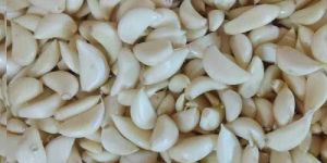 Fresh Peeled Garlic