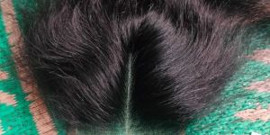 Human Hair HD Lace Closure