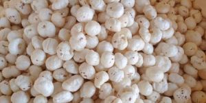 Makhana