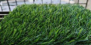 Artificial Grass