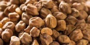 4 Mm Organic Brown Chickpea