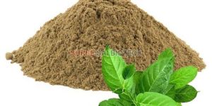 Gymnema Extract Powder