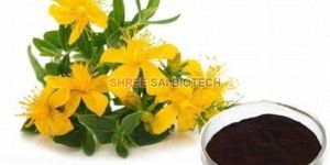 St John Wort Plant Extract Powder