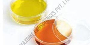 Round Petri Dish
