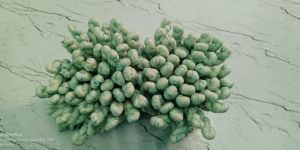 60 count dot yarn