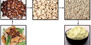 Tamarind Seed Powder