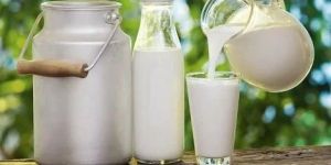 Fresh Milk