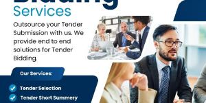 Tender Documents Services