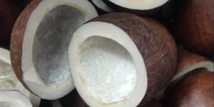 Dried Copra Coconut