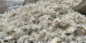 Milky White Unwashed Bottle Flakes