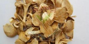 Dehydrated Oyster Mushroom
