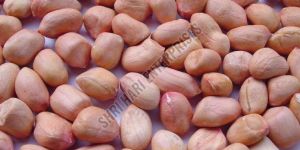 Raw Peanut Kernel
