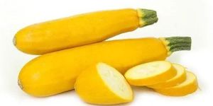 Yellow Zucchini