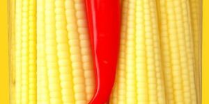 Canned Baby Corn