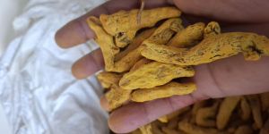 Double Polished Turmeric