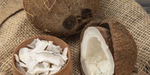 Dried Half Coconut Copra