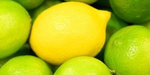 Fresh Lemon