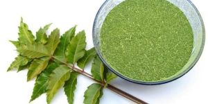 Neem Extract Powder