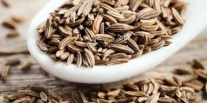 Singapore 99 Cumin Seed