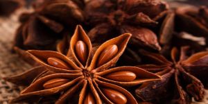 Natural Star Anise