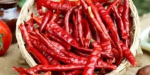 Teja S17 Dry Red Chilli