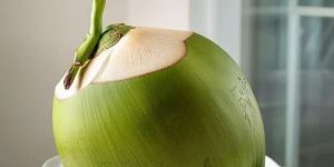 Tender Coconut