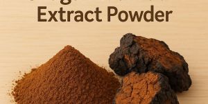 Chaga Mushroom Powder