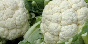 Fresh Cauliflower
