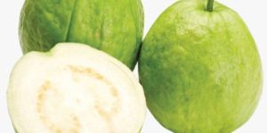 Fresh Guava