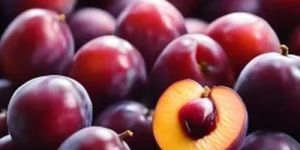 Fresh Plum