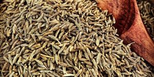 Cumin Seeds