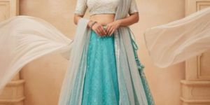 Light Blue Embroidered Net Lehenga Set