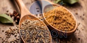 Cumin Powder