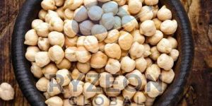 Whole Chickpeas