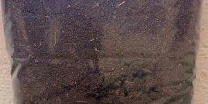 Vermicompost