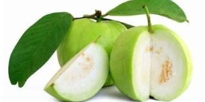 A Grade Fresh Guava