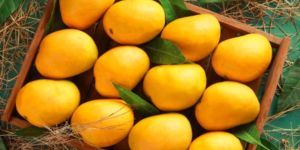 Fresh Banganapalli Mango