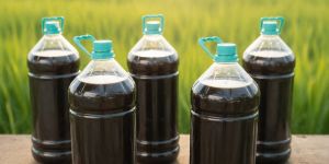 GK Organics Bio Organic Liquid Fertilizer