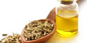 Fennel Seed Oil